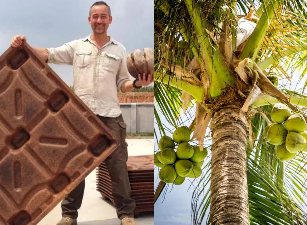 Reciclagem e Tecnologia: Inovação com paletes de casca de coco pode salvar 200 milhões de árvores por ano / Foto: Divulgação
