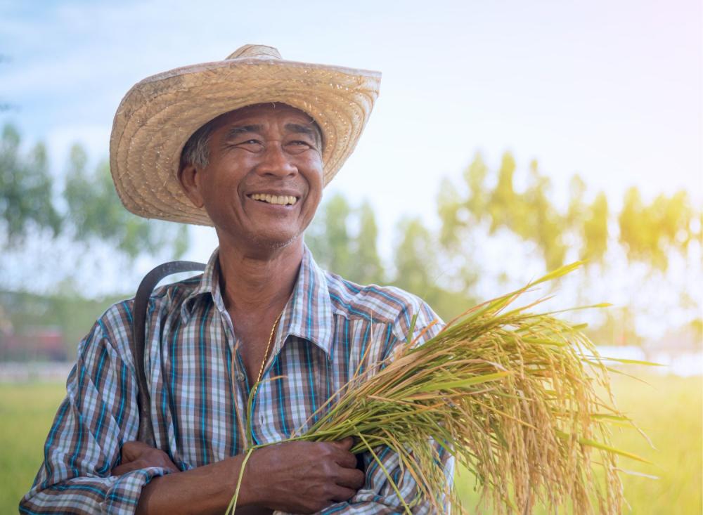 Trabalhadores rurais migram para o turismo rural em busca de novas oportunidades / Divulgação 