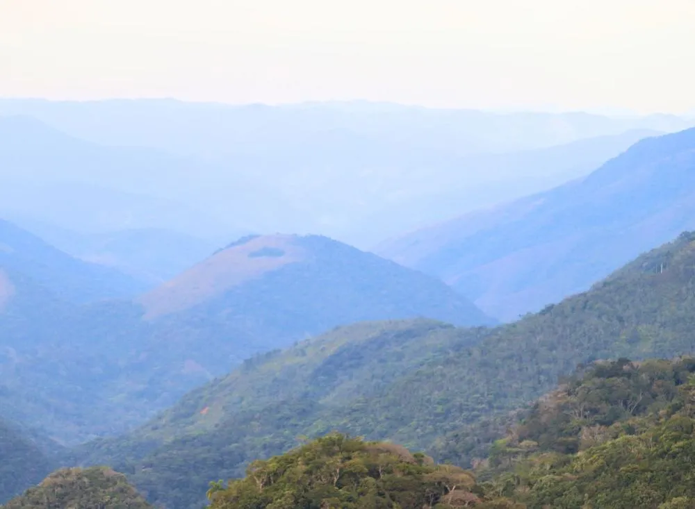 Vale do Ribeira e Mata Atlântica são destacados entre os 10 lugares mais incríveis do Brasil em Ranking Global / Foto: Fagner Vieira