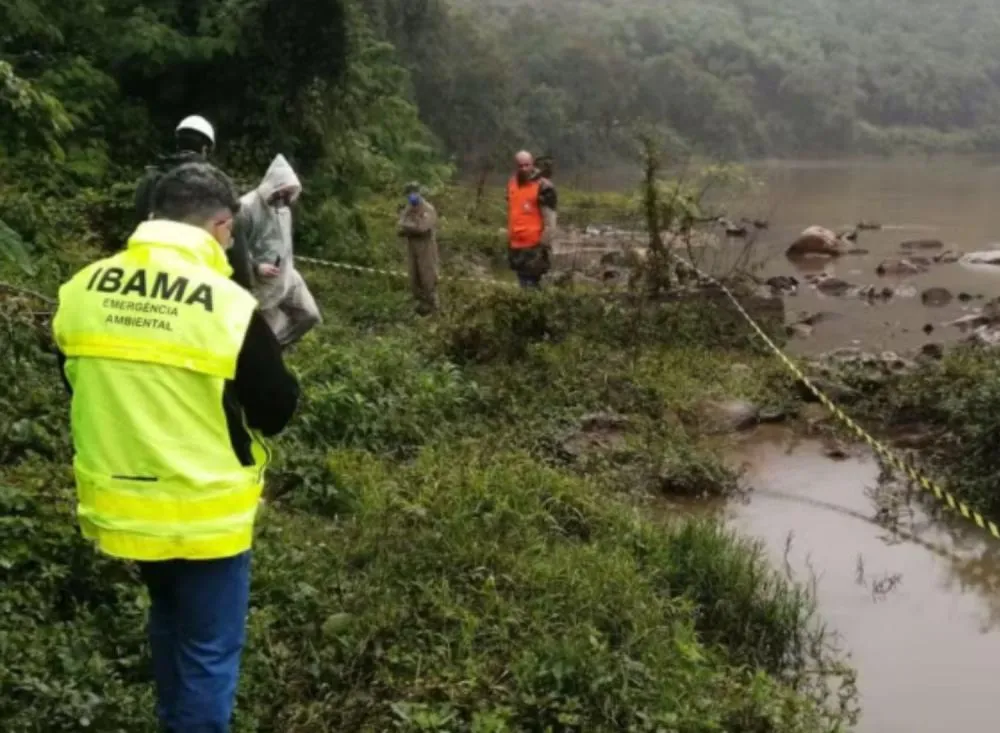 Instituto confirma grave contaminação por óleo no Rio Ribeira após vistoria / Foto: Ibama/PR